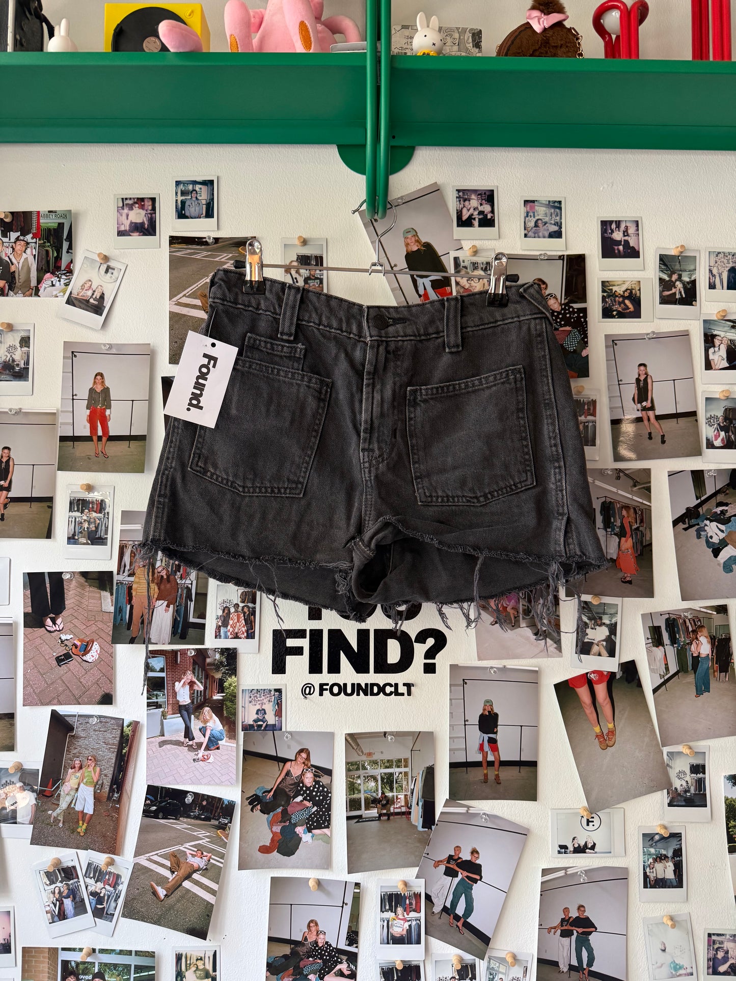 free people  cut off shorts  Bottoms