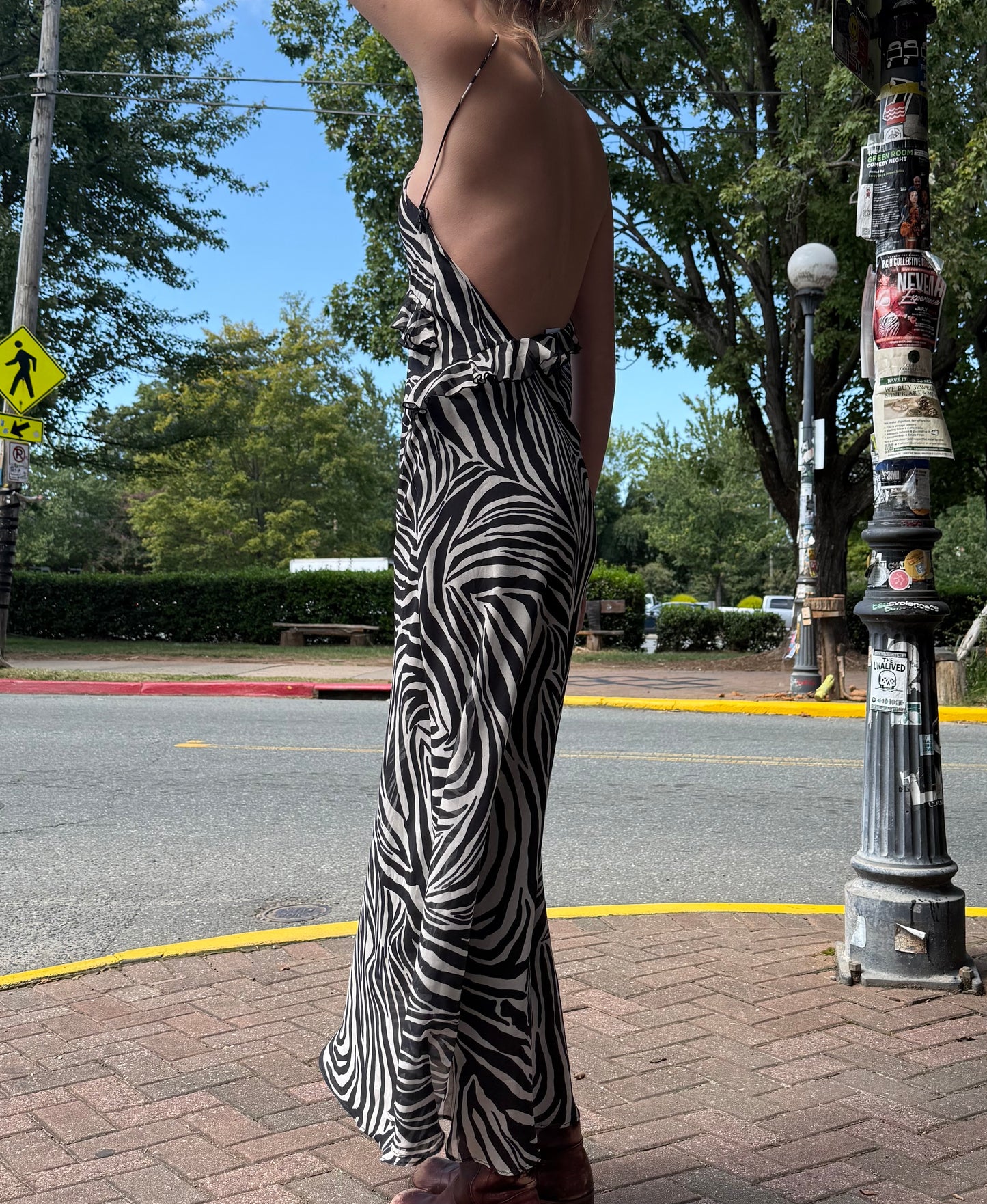 Zara zebra maxi dress Dresses