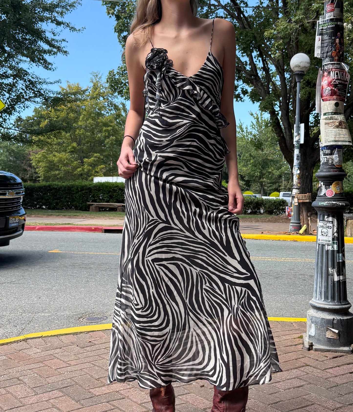 Zara zebra maxi dress Dresses