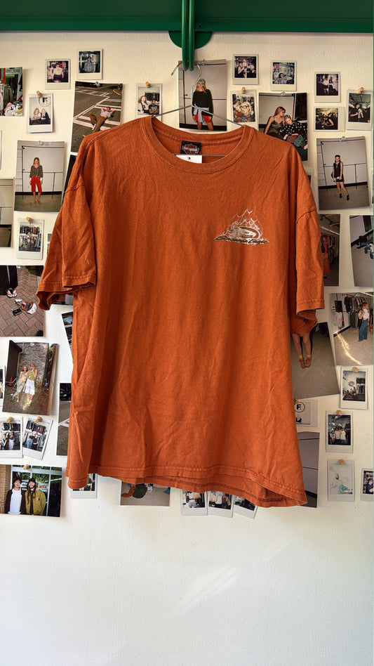 Harley Davidson graphic tee Tops